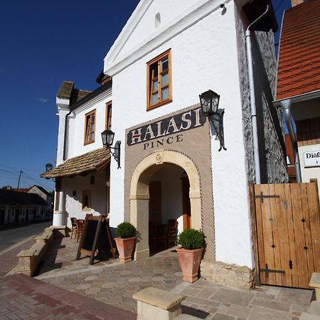 Halasi Pince Panzio Villány Exterior foto