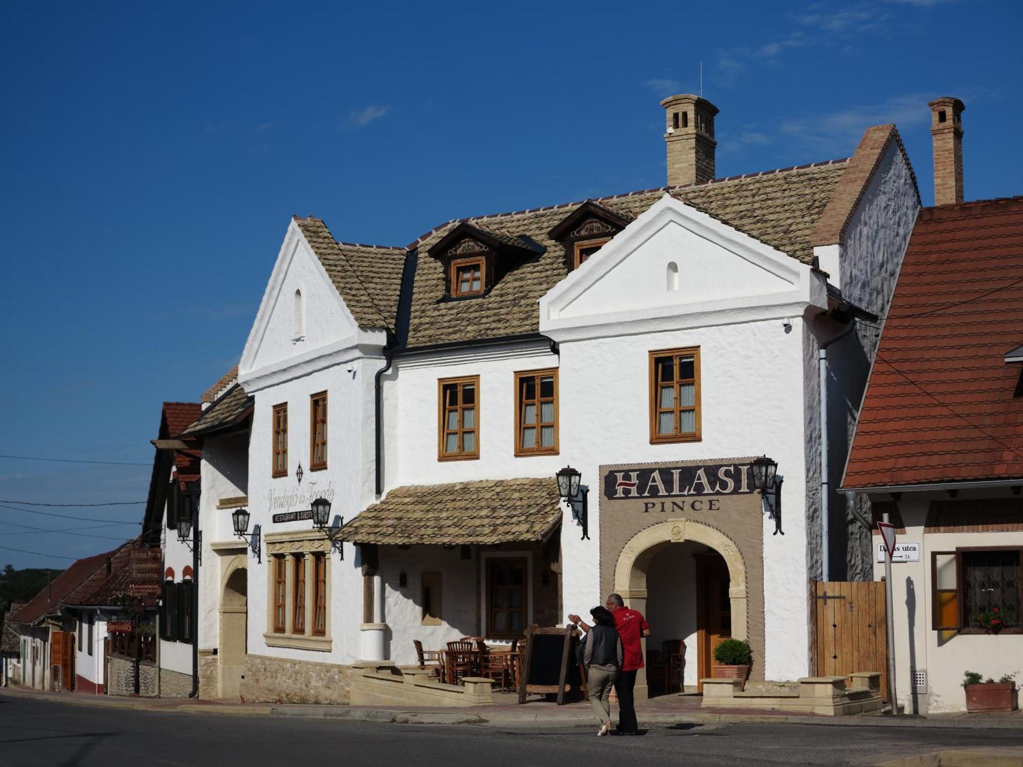 Halasi Pince Panzio Villány Exterior foto