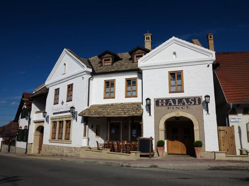 Halasi Pince Panzio Villány Exterior foto